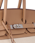 Birkin 35 Toile And Swift In Biscuit, other view
